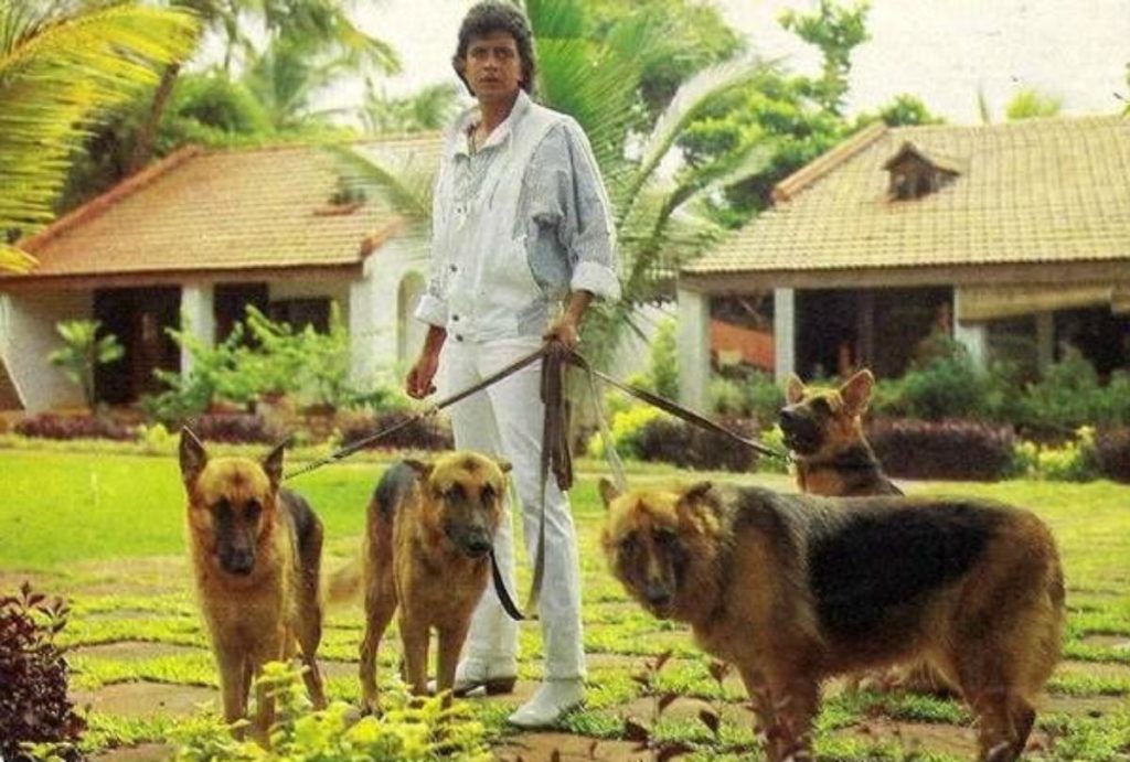 Mithun Chakraborty dogs collection 2