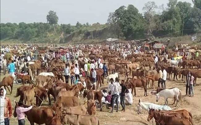 Donkey Fair in Chitrakoot