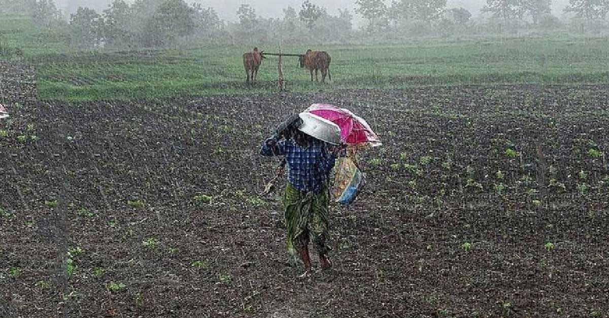 Farmers in Rain