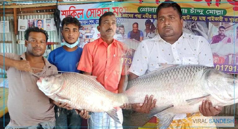 fisherman become rich by catla fish in bangladesh