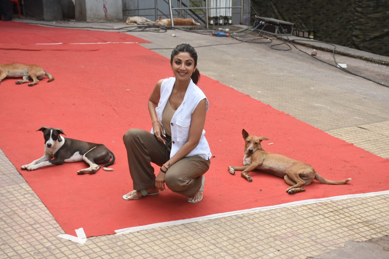 Shilpa Shetty Posing with Dogs 1