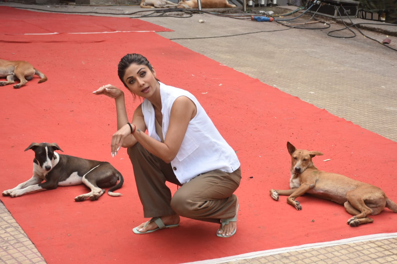 Shilpa Shetty Posing with Dogs