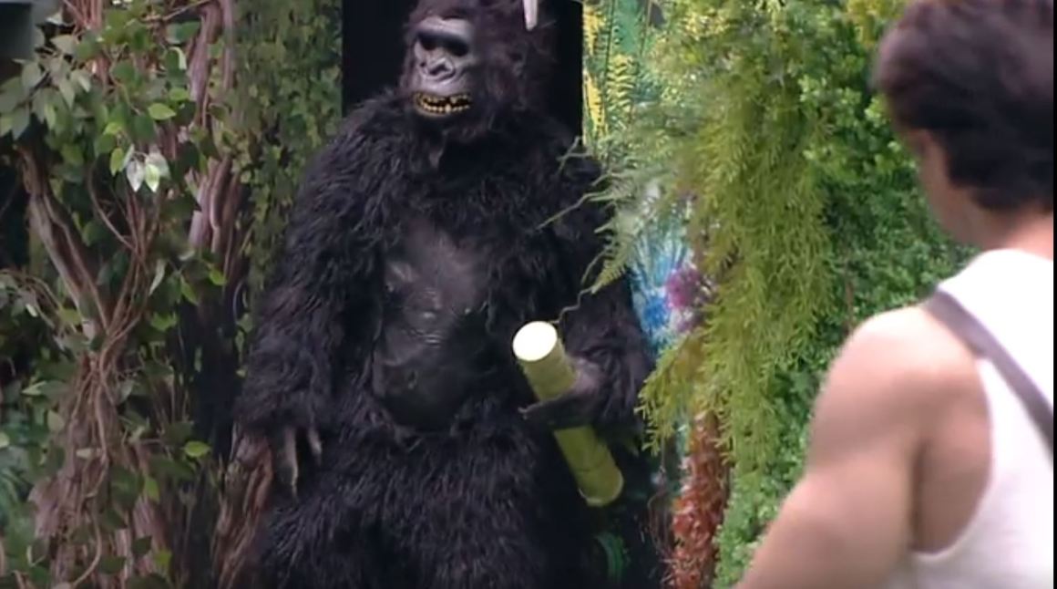 Gorilla at Bigg Boss 1