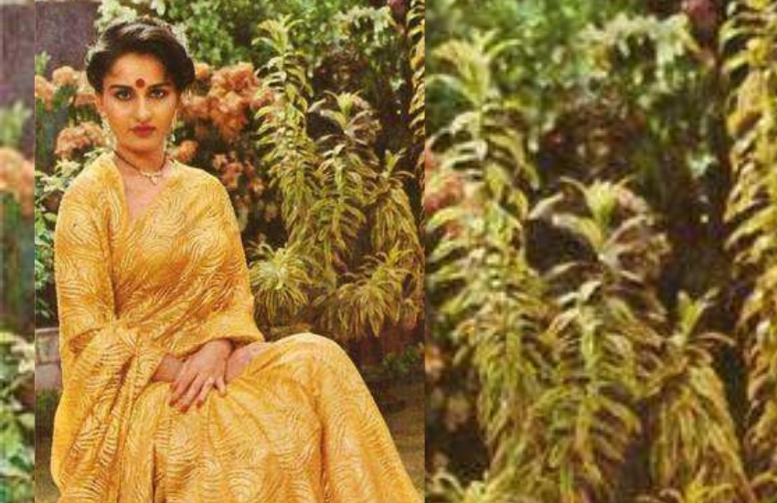 Reena Roy Receive Letter from Blood 3