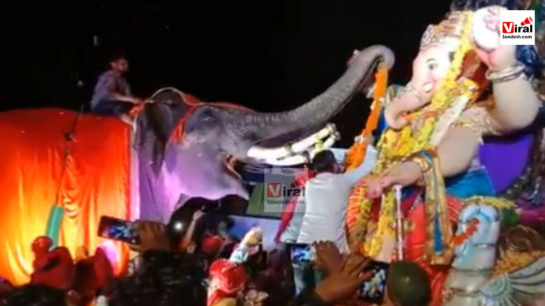 Elephant worship to lord ganesh 1