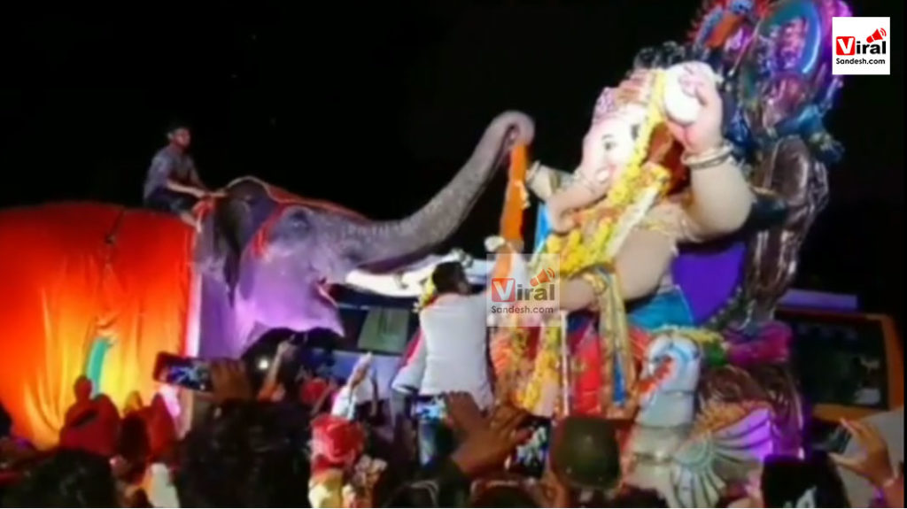 Elephant worship to lord ganesh
