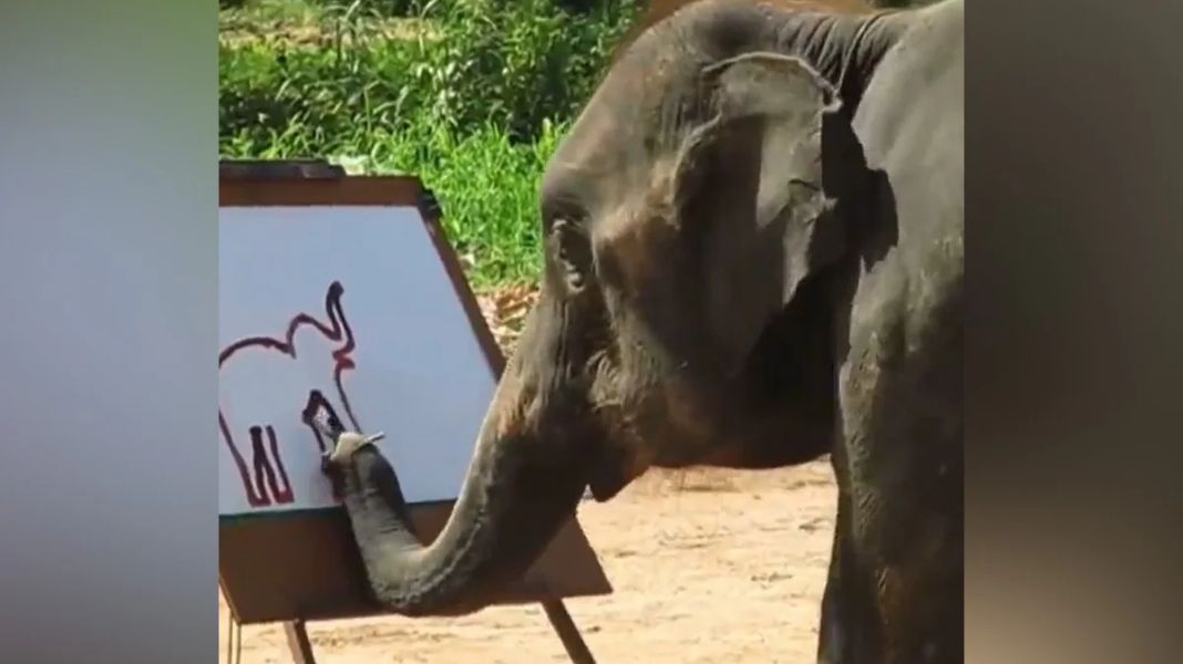 Elephant Made Painting Viral Video