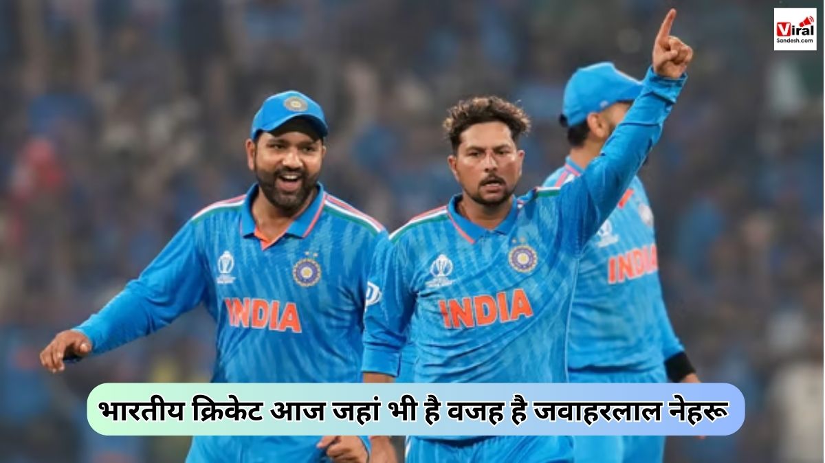 ICC World Cup Final 2023 India Won