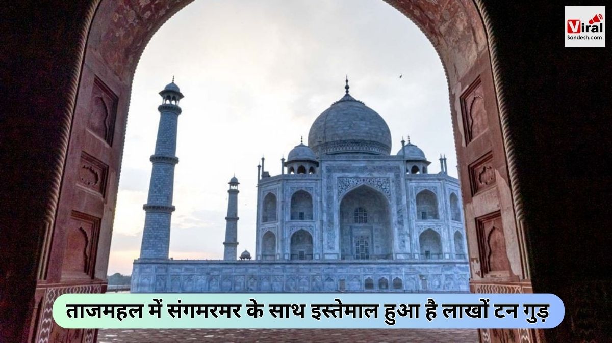 Construction of Taj Mahal Many Tons Of Jaggery Was Used