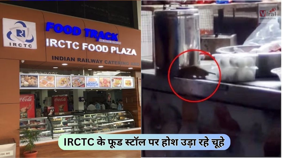 IRCTC Food Stall Rats